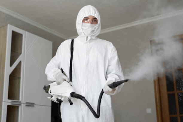 Best Environmental Consulting for Mold Prevention in Hermann, MO